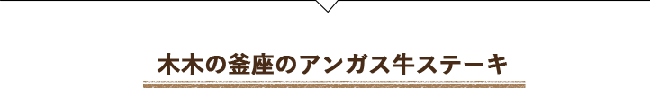 A5ランク飛騨牛特選ステーキ