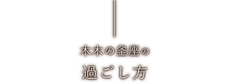 木木の釜座の過ごし方