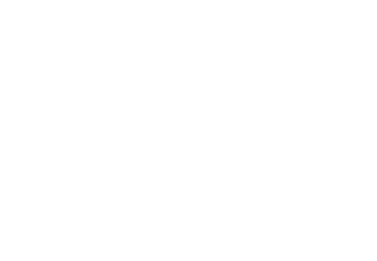 ツリーハウスの秘密基地